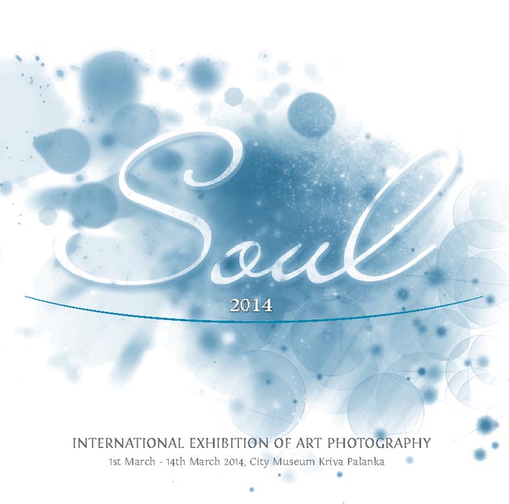 soul 2014